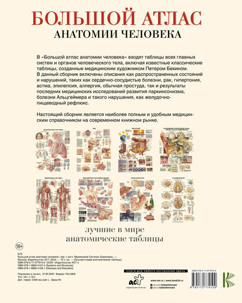 Большой атлас анатомии человека(в табл)