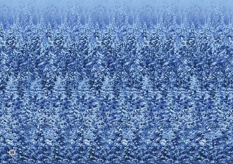 Альбом для тренировки зрения. 83 стерео-картинки