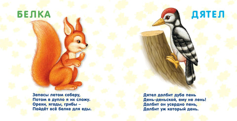Книжки-картонки. Лесные животные