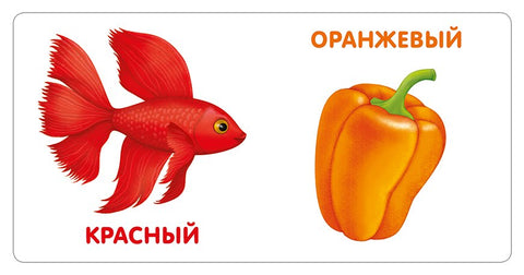 Картонске књиге. Боје у природи
