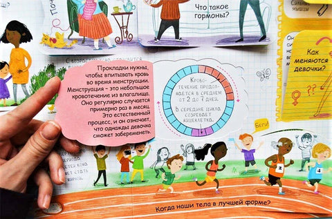 Вопросы и ответы. Я расту. Более 60 секретных створок