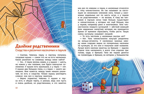 Насекомые и пауки