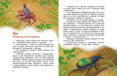 Насекомые и пауки