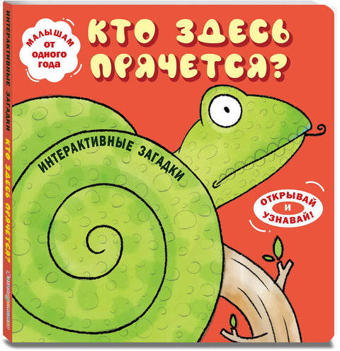 Интерактивные загадки. Кто здесь прячется?