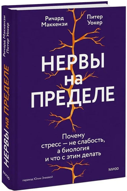 Нервы на пределе. Почему стресс — не слабость, а биология, и что с этим делать