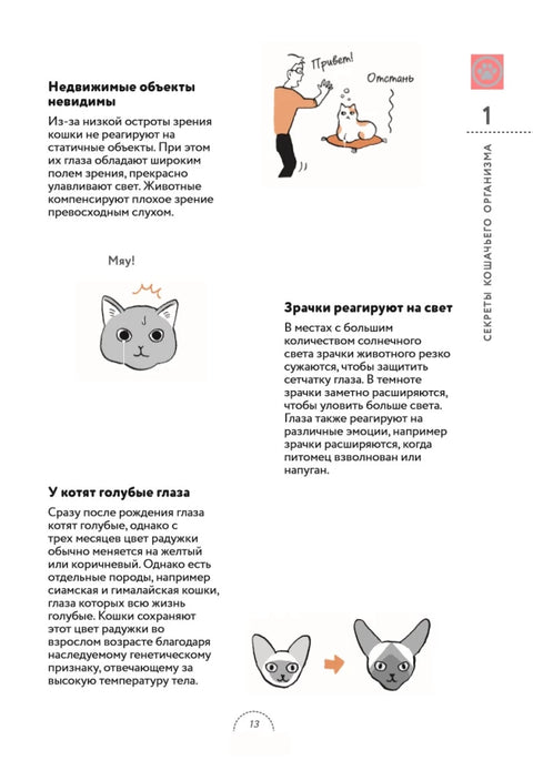 Чего хотят кошки. Японский бестселлер по воспитанию усатых малышей