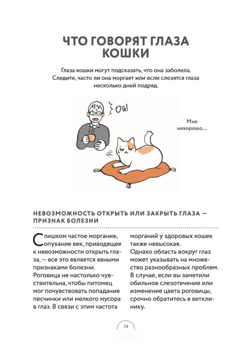 Чего хотят кошки. Японский бестселлер по воспитанию усатых малышей