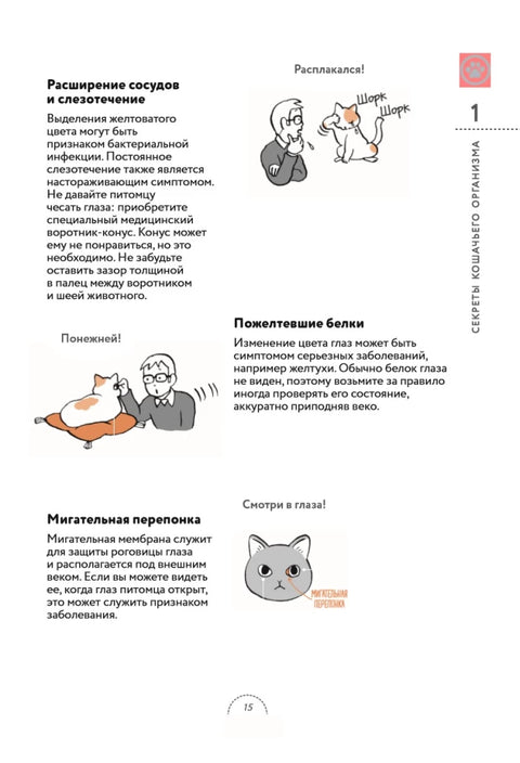 Чего хотят кошки. Японский бестселлер по воспитанию усатых малышей