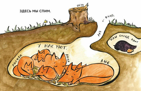 Зато сам! Рассказы для первого чтения. 3 ступень (6-7 букв)