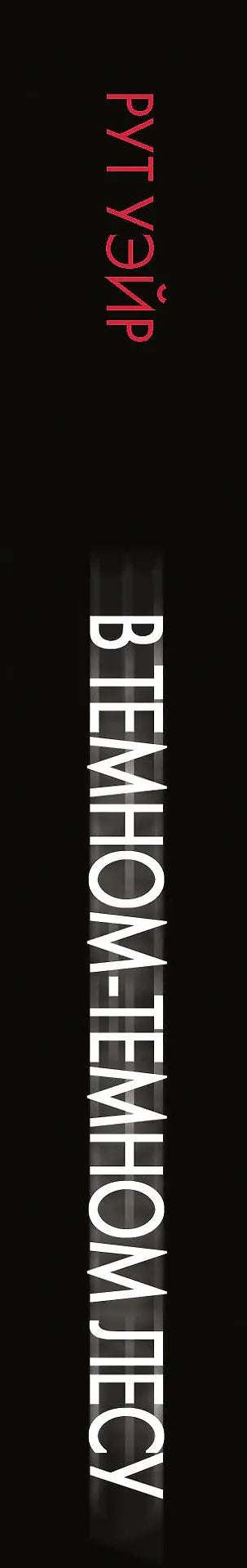 В тёмном-тёмном лесу