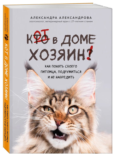 Кот в доме хозяин! Как понять своего питомца, подружиться и не навредить