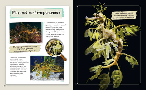 Удивительные животные нашей планеты