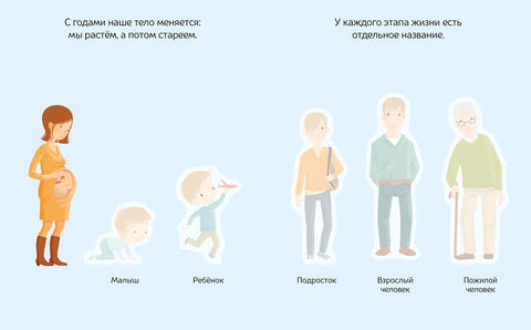 Тело человека