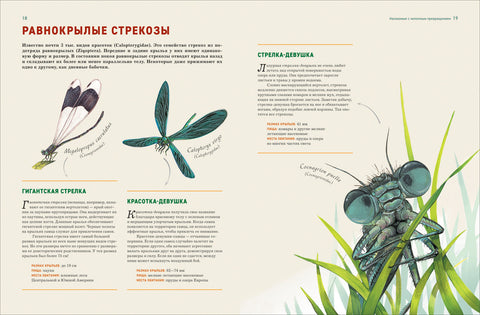 Насекомые. Лучшая энциклопедия