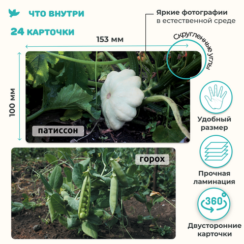 Умница. Мир на ладошке «Овощи» + 1 игровое поле