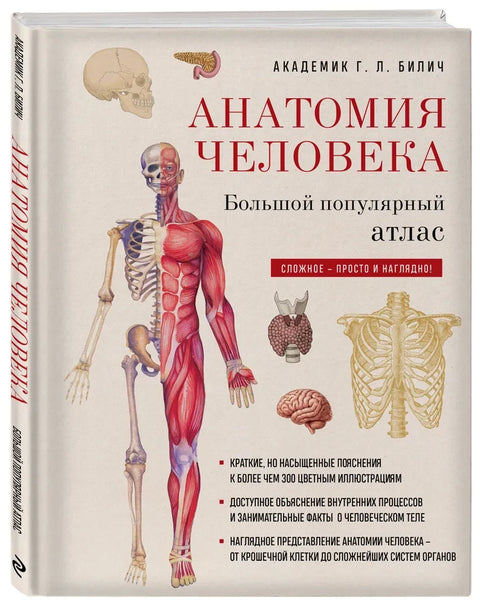 Анатомия человека: большой популярный атлас