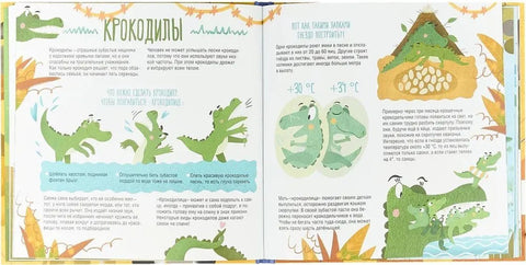 Папа, мама, я – звериная семья