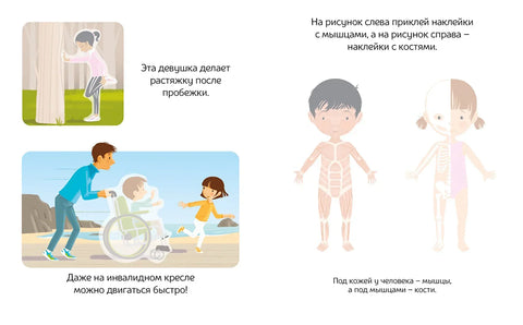 Тело человека