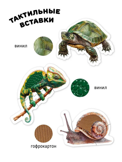 Животные в террариуме
