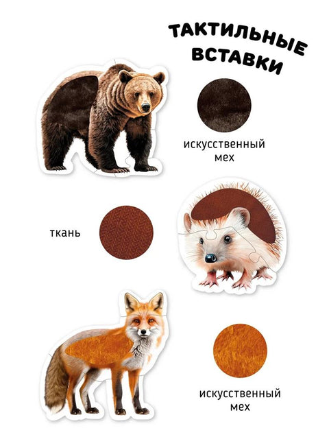 Животные в лесу
