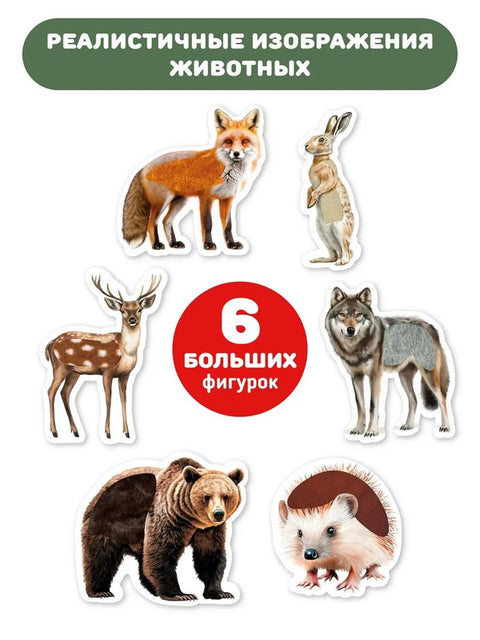 Животные в лесу