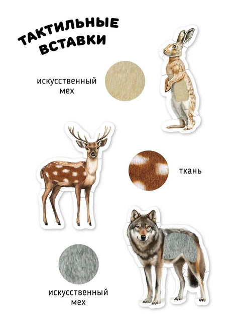 Животные в лесу