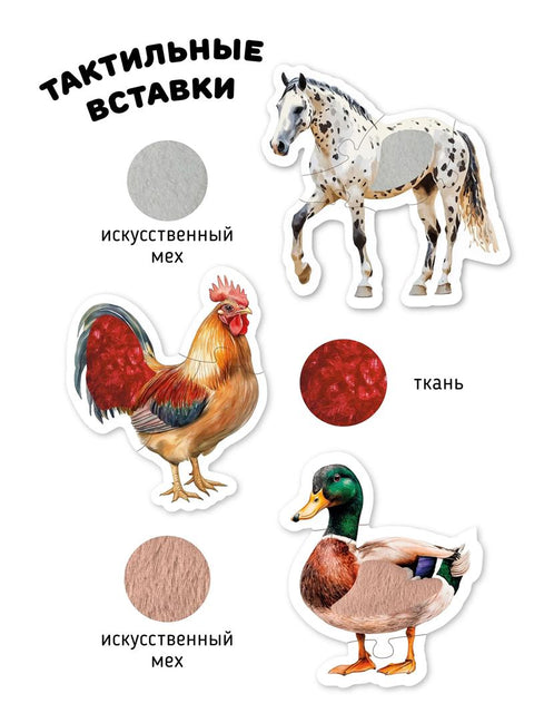Животные в деревне