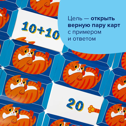 Мачка + рачун