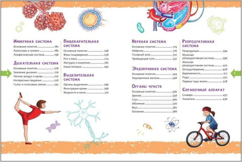 Човек. Нова дечја енциклопедија