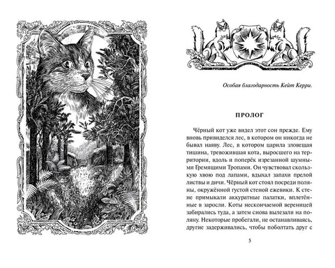 Сенка тигровог срца. Визије