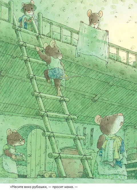 14 лесных мышей. Стирка.