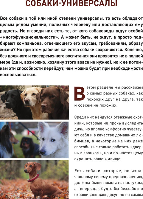 Все породы собак. Большая иллюстрированная энциклопедия