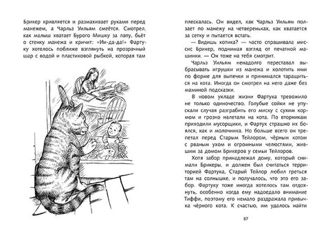 Кецеља за мачке