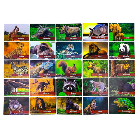 Мемо "Мир животных"