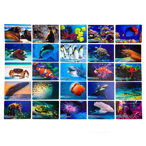 Мемо "Обитатели морей и океанов"