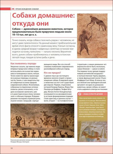 Собаки. Подарочная иллюстрированная энциклопедия