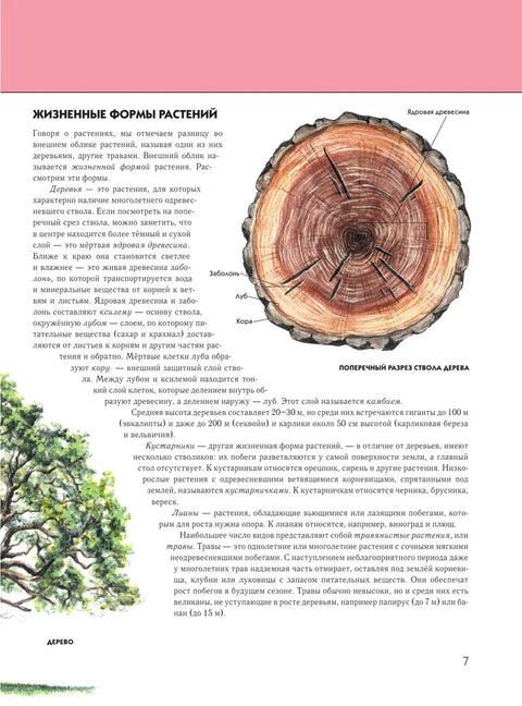 Растения. Полная энциклопедия