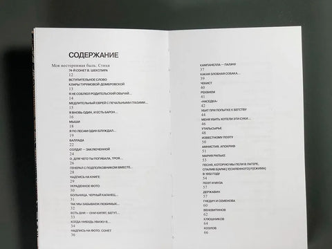 Моя нестерпимая быль. Стихи и рассказы разных лет