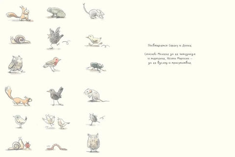 Удивленная сова