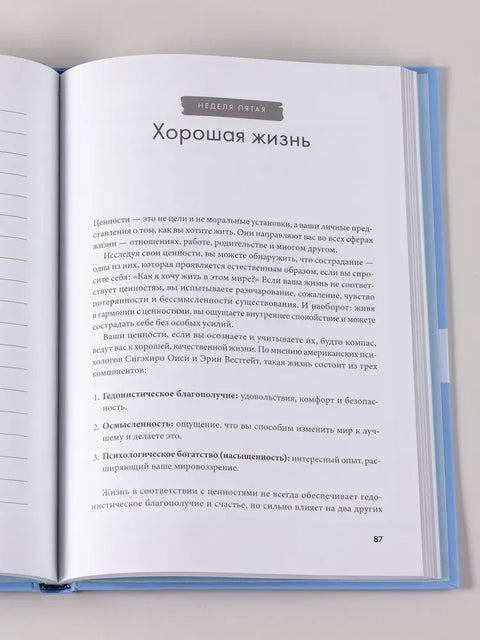 Отпусти внутреннего критика: Отношусь к себе с добротой, пониманием и состраданием