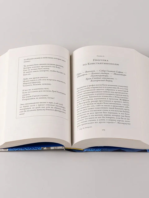 Путеводитель по Средневековью: Мир глазами ученых, шпионов, купцов и паломников