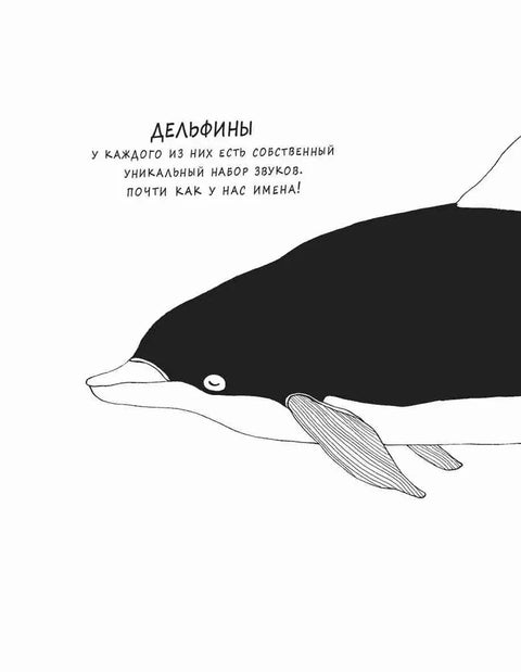 Забавные факты о детёнышах животных в картинках