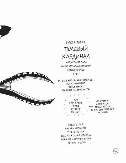 Забавные факты о детёнышах животных в картинках