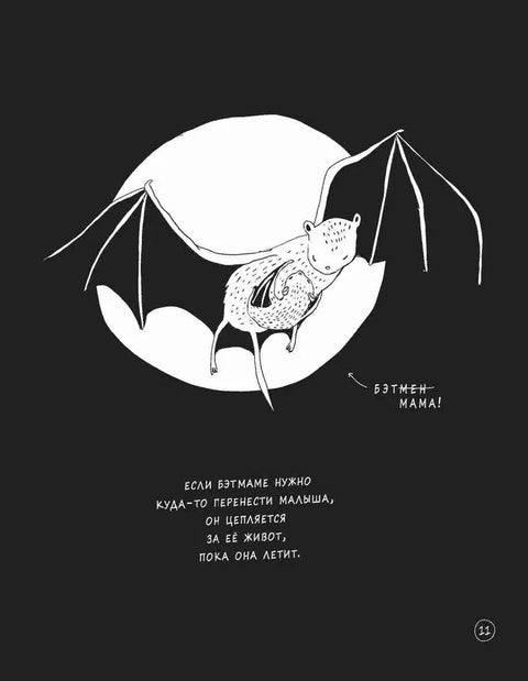 Забавные факты о детёнышах животных в картинках