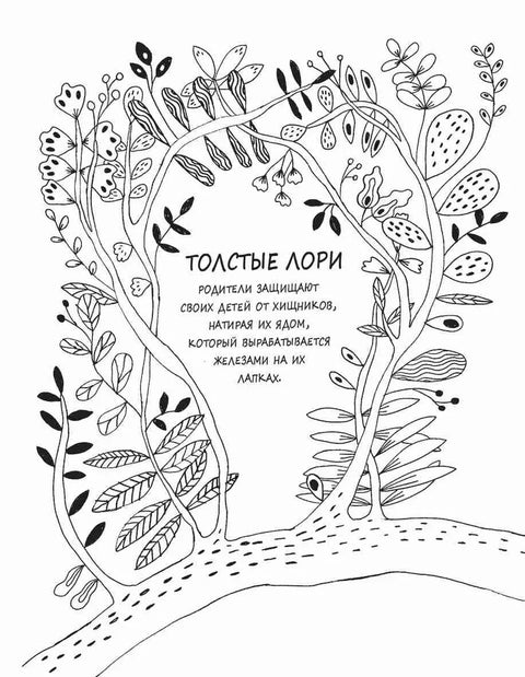 Забавные факты о детёнышах животных в картинках