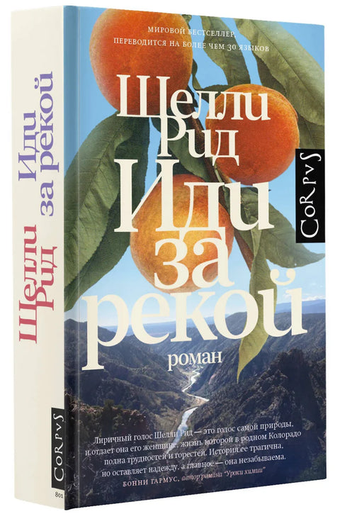 Пратите реку