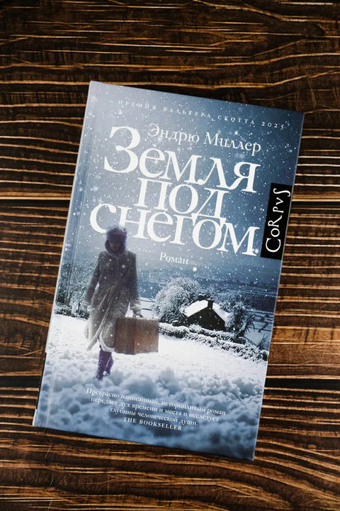 Земља под снегом