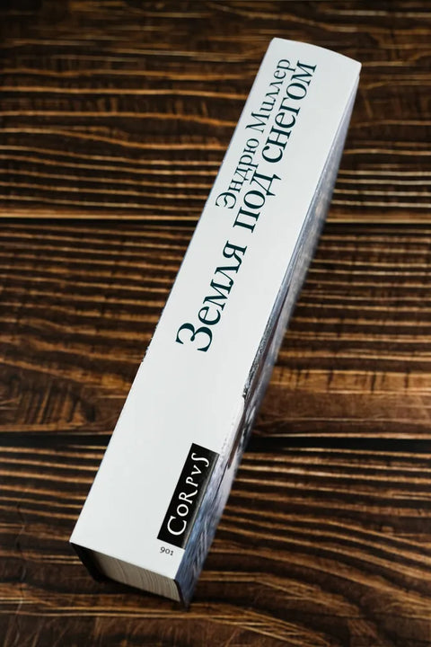 Земља под снегом