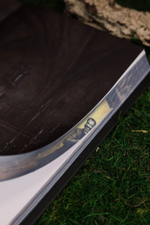 Франкенштейн, или современный Прометей