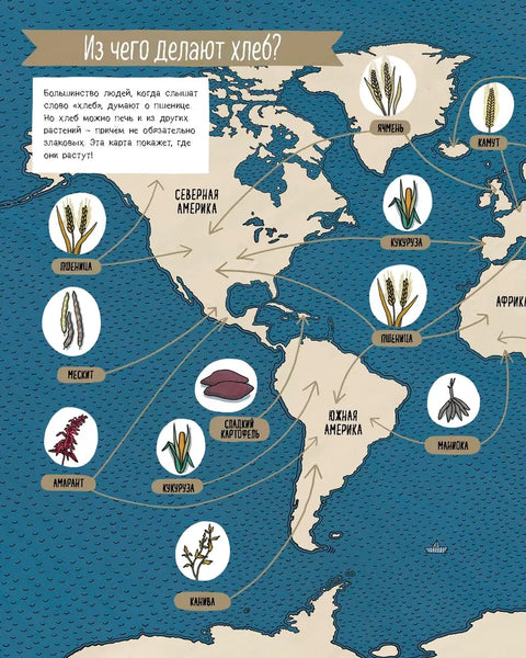 Хлеб. Вкус мира